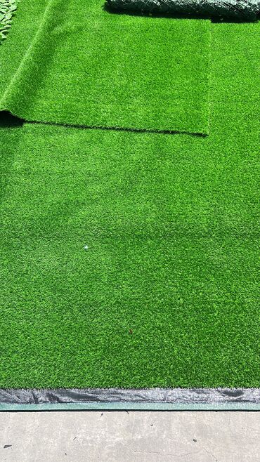 Toxumlar: 9 azn baslayan qiymetler Suni qazonlarin topdan satisi Suni qazon — 21