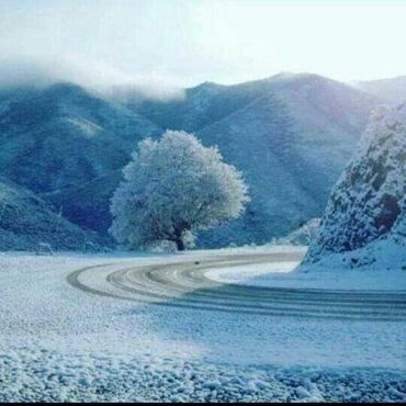 Bağ evlərinin satışı: Şəmkir, 100 kv. m, 3 otaqlı, Qaz, İşıq, Su -da lalafo.az — 15 Bağ evlərinin satışı: Şəmkir, 100 kv. m, 3 otaqlı, Qaz, İşıq, Su — 15