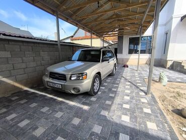 Subaru: Subaru Forester: 2004 г., 2.5 л, Автомат, Бензин, Универсал
