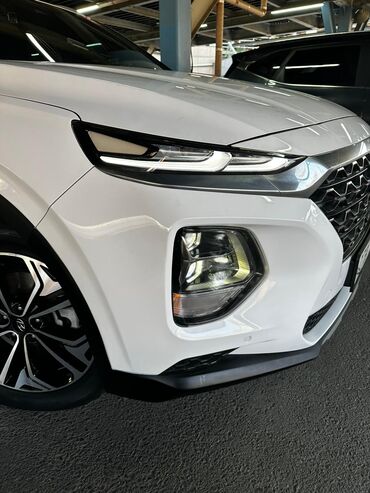 Hyundai: Hyundai Santa Fe: 2019 г., 2.2 л, Автомат, Дизель, Кроссовер — 28
