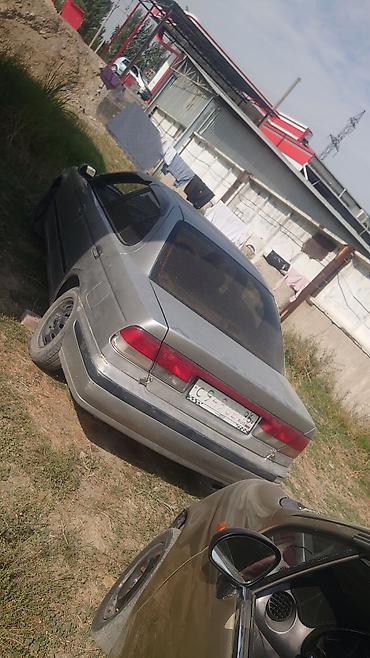 bmw 5 e39: Nissan Sunny: 2002 г., Автомат, Бензин, Седан — 4