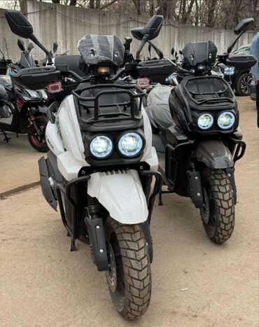 Mazda: Mazda 6 MPS: 2024 г., 0.3 л, Механика, Дизель — 1