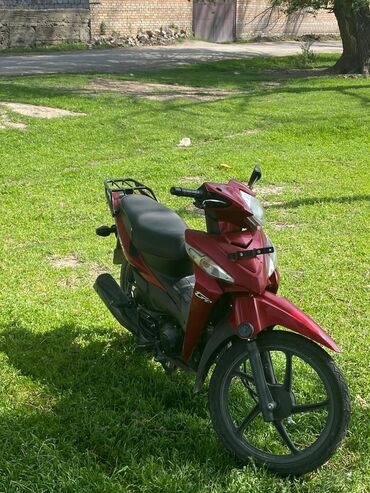 Мотоциклдер жана мопеддер: Продаю: Скутер HONDA Полуавтомат кубов: 110cc в отличном состоянии