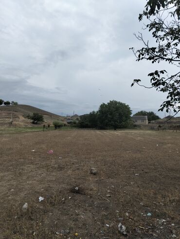 xacmaz torpaq sahesi satilir: 5 sot, Kənd təsərrüfatı, Mülkiyyətçi, Kupça (Çıxarış), Bələdiyyə