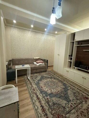 сдаюу квартира тунгуч: 1 бөлмө, 45 кв. м, Элитка, 5 кабат, Евроремонт