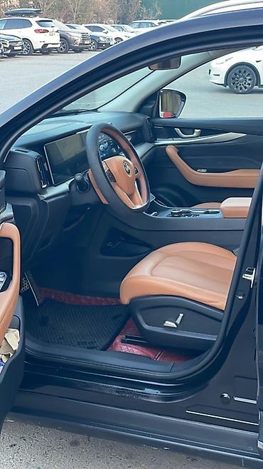 Weltmeister: Weltmeister W6, 2021 г., 79000 км, В наличии — 8