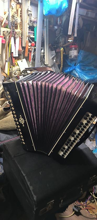 Akkordeonlar: Akustik Akkordeon, Yeni — 7