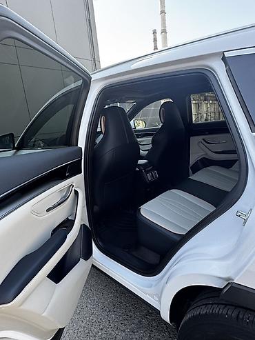 byd leopard: BYD Song Plus: 2021 г., Кроссовер — 6