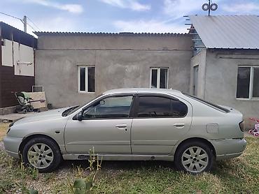 e5 olom: Nissan Primera: 2000 г., 1.8 л, Механика, Бензин, Седан — 2