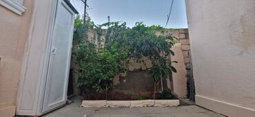 Həyət evləri və villaların satışı: 3 otaqlı, 90 kv. m, Orta təmir — 3