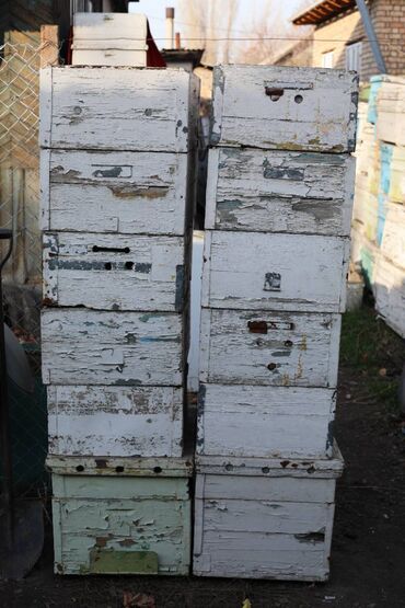 Товары и оборудование для с/х животных: Ульи около 45 комплектов. Рутовская система, корпусные, пригодны для — 29