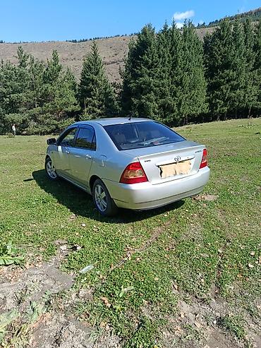 машины за 20 тысяч долларов: Toyota Corolla: 2004 г., 1.6 л, Автомат, Бензин, Седан — 2