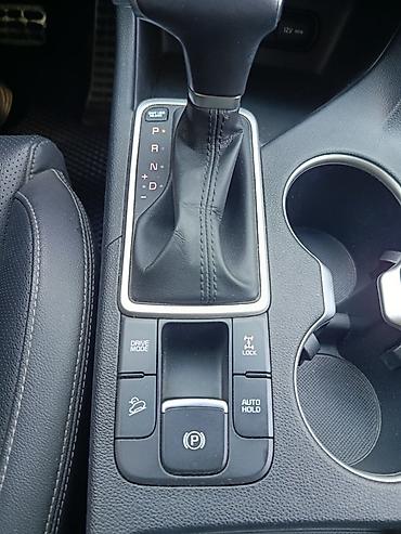 sprinter rex: Kia Sportage: 2021 г., 1.6 л, Робот, Дизель, Кроссовер — 1