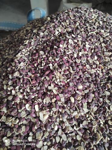 собака немецкая овчарка купить: В продаже .Чечевичная сечка 18сом.Фасоль 15 сом. Отпускается в