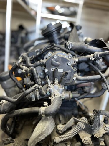 Двигатели, моторы и ГБЦ: Дизельный мотор Volkswagen 1999 г., 1.9 л, Б/у, Оригинал, Германия — 5