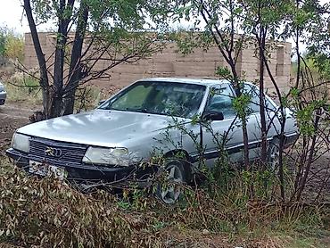 Audi 100: 1990 г., Механика, Седан
