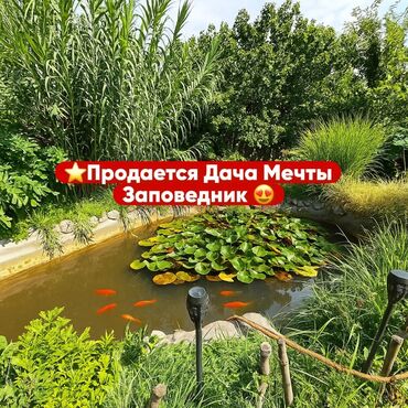 земельный дом в оше: 23 соток, Курулуш, Кызыл китеп, Техпаспорт