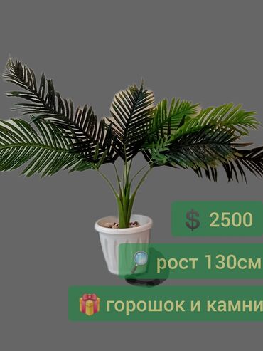 бытовая химия оптом со склада: Декоративдик гүлдөр
