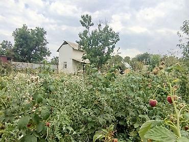 Продажа дач: 🏡✨ Продаётся участок с домом в Дачном селе Южный (Кара Балта) ✨🏡 📐 — 22