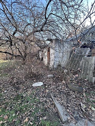 Продажа коттеджей и домов: 🏡 Продается жилой дом в хорошем районе — ул. Шукурова / Ахунбаева! 📍 — 19