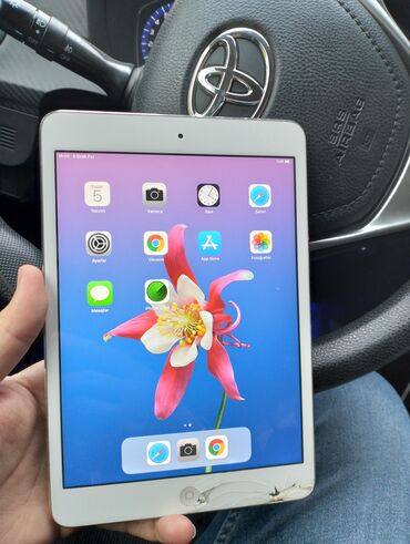 Apple iPad: Ipad mini qiymet asagi yeri yoxdu