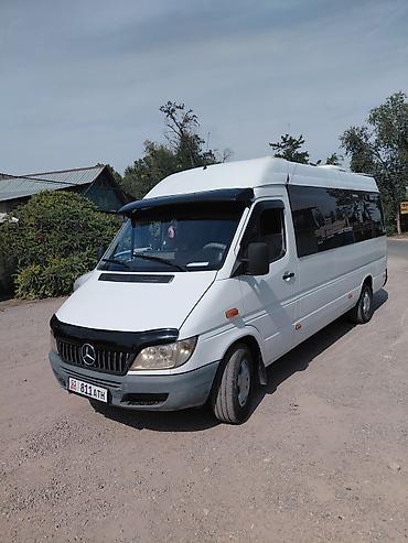 на спринтер фары: Mercedes-Benz Спринтер: 2005 г., 2.2 л, Механика, Дизель, Бус — 9