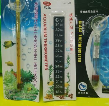 Akvariumlar: Termometrler 2azn Akvarium baliglarinin satiwi 🦈 Danio baligi olcu 2