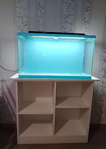 Akvariumlar: Dördbucaq akvarium, Boş, 70 l — 2