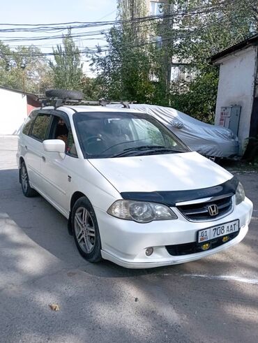 противотуманные фары одиссей: Honda Odyssey: 2003 г., 2.3 л, Автомат, Бензин, Вэн/Минивэн