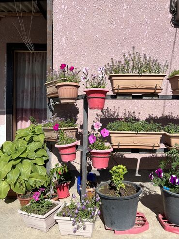 Продажа домов: Дом, 96 м², 4 комнаты, Риэлтор, Косметический ремонт — 4