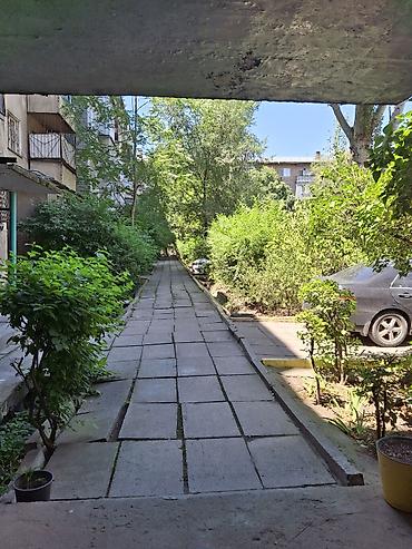 участок квартира: 3 комнаты, 5 м², 2 этаж — 1