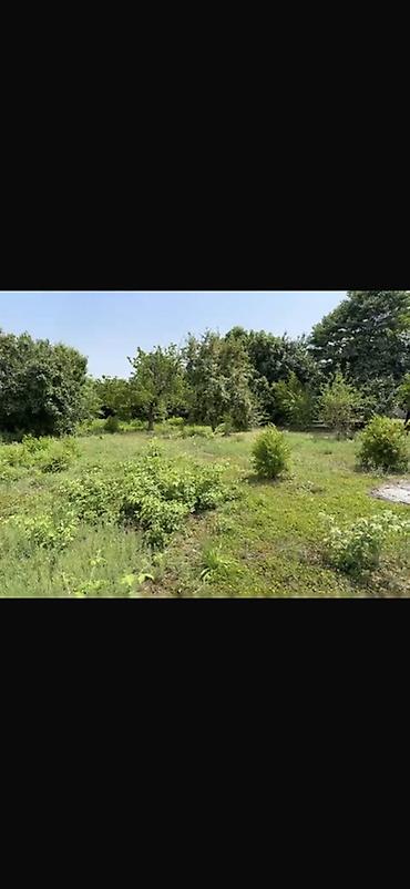 əkin sahəsi icarə: 15 sot, Tikinti, Mülkiyyətçi, Kupça (Çıxarış) — 3