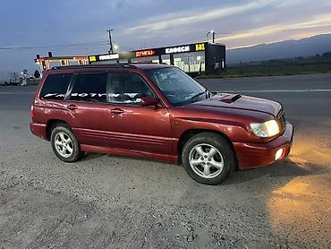 форестер 2006: Subaru Forester: 2000 г., 2 л, Автомат, Бензин, Универсал — 4