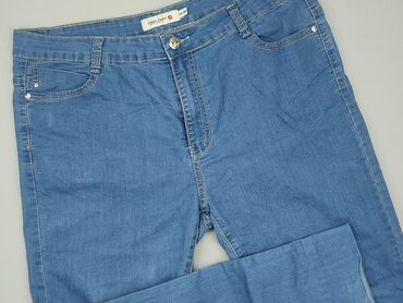 4f spodnie dresowe: Jeans, 4XL (EU 48), condition - Good