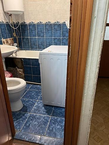 Ковры и паласы: Ковер — 5