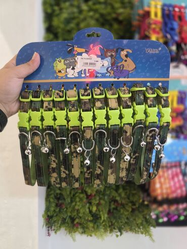 Xaltalar, qayışlar və tasmalar: Pişik və mini itlər üçün boyunbağılar. Taksilə çatdırılma xidmətimiz — 25