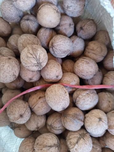 оптом орехи: Продаю два мешка за орехов 140 сом за 1кг Грецкие орехи в скорлупе -