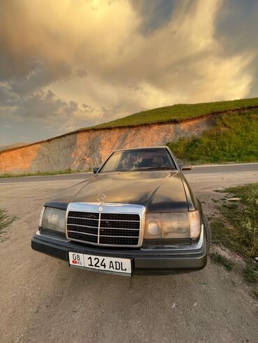 Mercedes-Benz: Mercedes-Benz 220: 1991 г., 2.2 л, Механика, Бензин, Седан