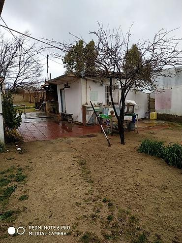 goradil: 10 sot, Mülkiyyətçi, Kupça (Çıxarış) — 2