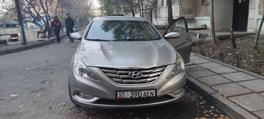 Hyundai: Hyundai Sonata: 2009 г., 2 л, Автомат, Бензин, Седан