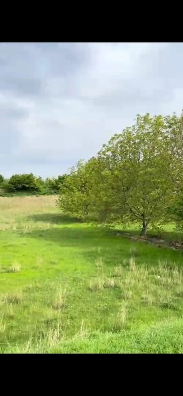 Torpaq sahələrinin satışı: 30 sot, Tikinti, Mülkiyyətçi, Texniki pasport -da lalafo.az — 5 Torpaq sahələrinin satışı: 30 sot, Tikinti, Mülkiyyətçi, Texniki pasport — 5