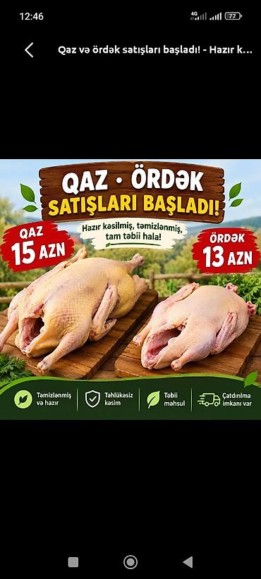 sümük unu satışı: Kənd heyvanları — 1