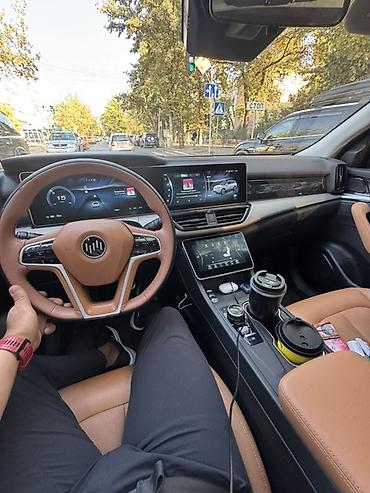 Weltmeister: Weltmeister W6, 2022 г., 54000 км — 16