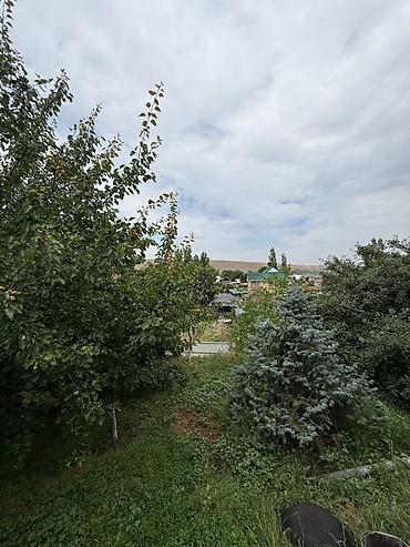 Недвижимость: 15 соток, Для бизнеса, Красная книга, Тех паспорт, Договор купли-продажи — 4
