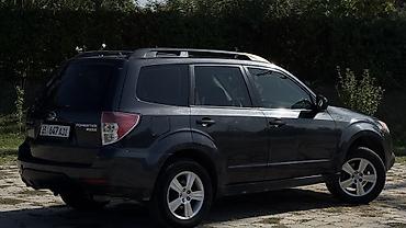 forester: Subaru Forester: 2010 г., 2.5 л, Автомат, Газ, Кроссовер — 3