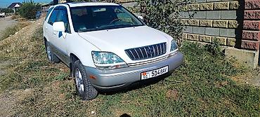 rx30: Lexus RX: 2001 г., 3 л, Автомат, Бензин, Кроссовер — 2