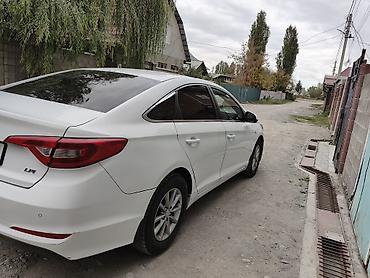 255 40 19: Hyundai Sonata: 2017 г., 2 л, Автомат, Газ, Седан — 4