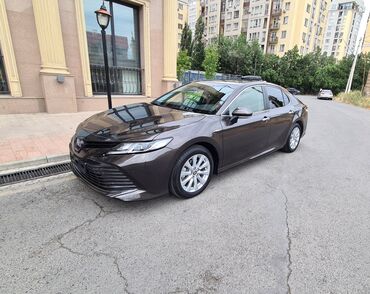консоль камри: Toyota Camry: 2021 г., 2.5 л, Автоматические, Гибрид, Седан