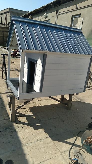 Животные: İt yuvası. izolyasiya olunub. eni 90 sm uzunu 1 metr 30 sm di — 2