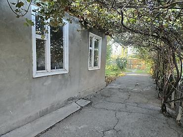 45: 🏡🔥 ПРОДАЁТСЯ ДОМ В ЦЕНТРЕ СЕЛА + 2,16 ГА ОРОШАЕМОЙ ЗЕМЛИ! 💰 ВСЁ ЗА $70 — 2